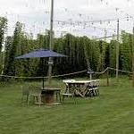 TopWire Hop Project