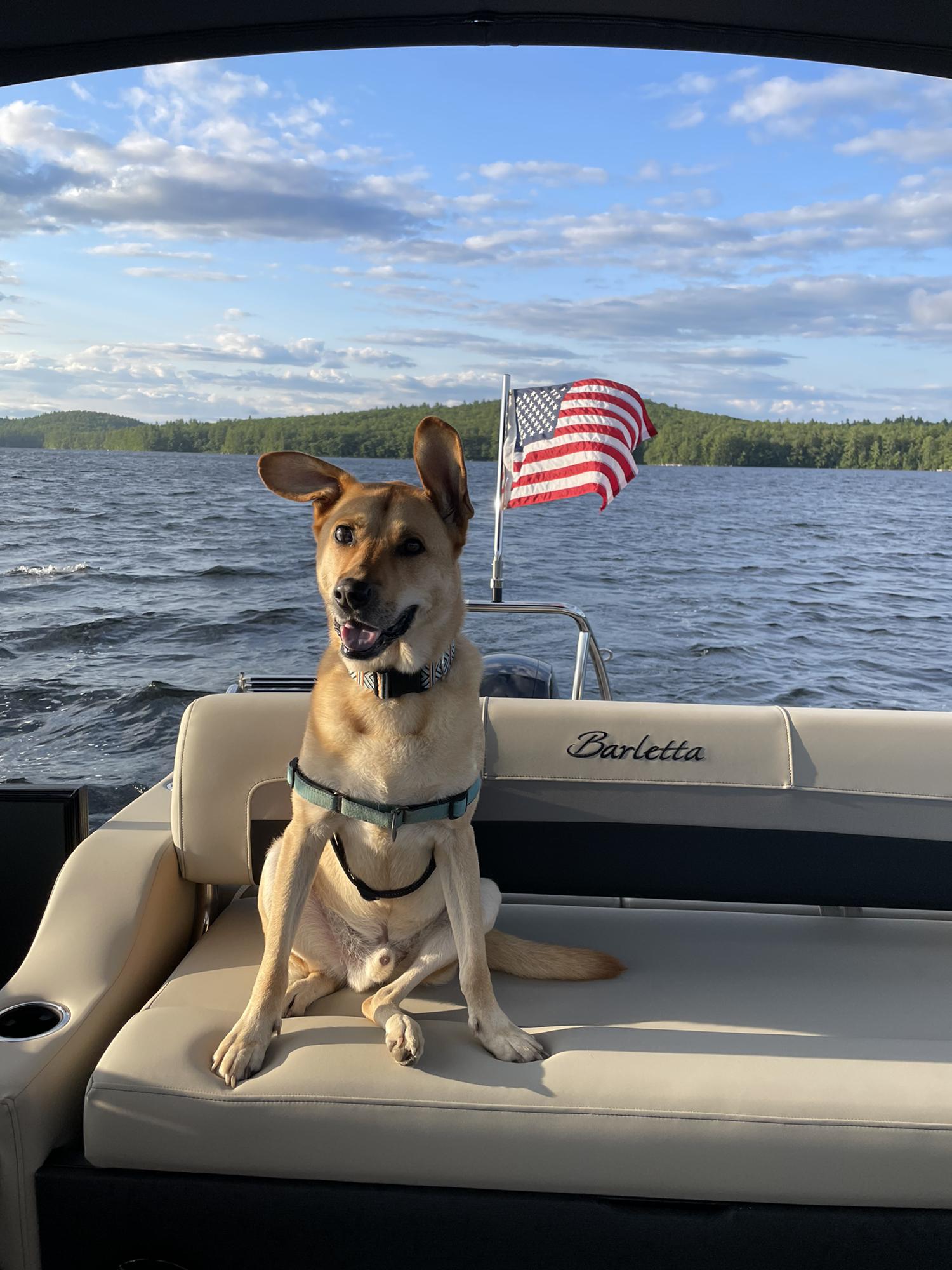 Our favorite captain