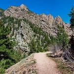 Rattlesnake Gulch Trail