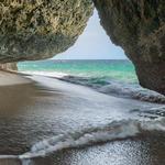 Survival Beach