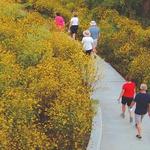 The Parklands of Floyds Fork