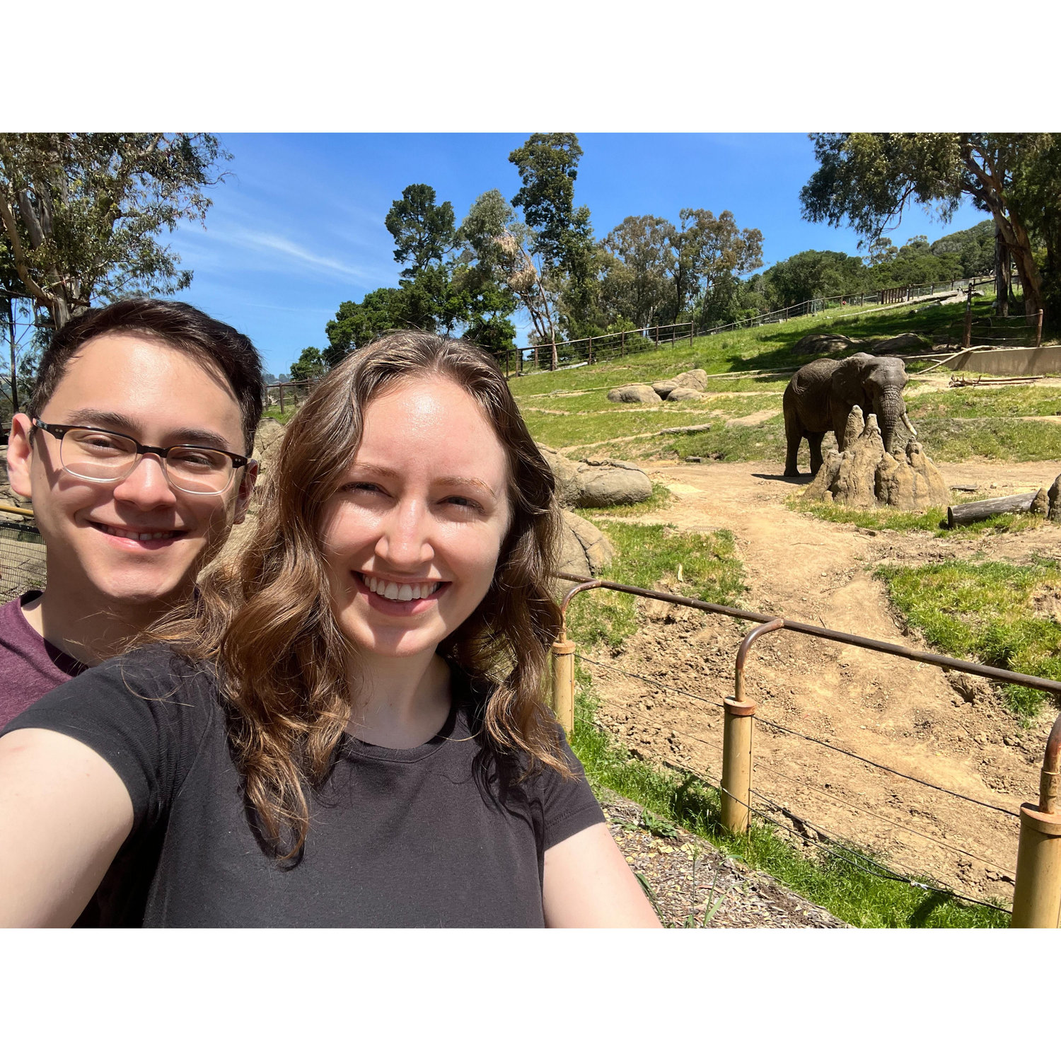A day at the SF Zoo