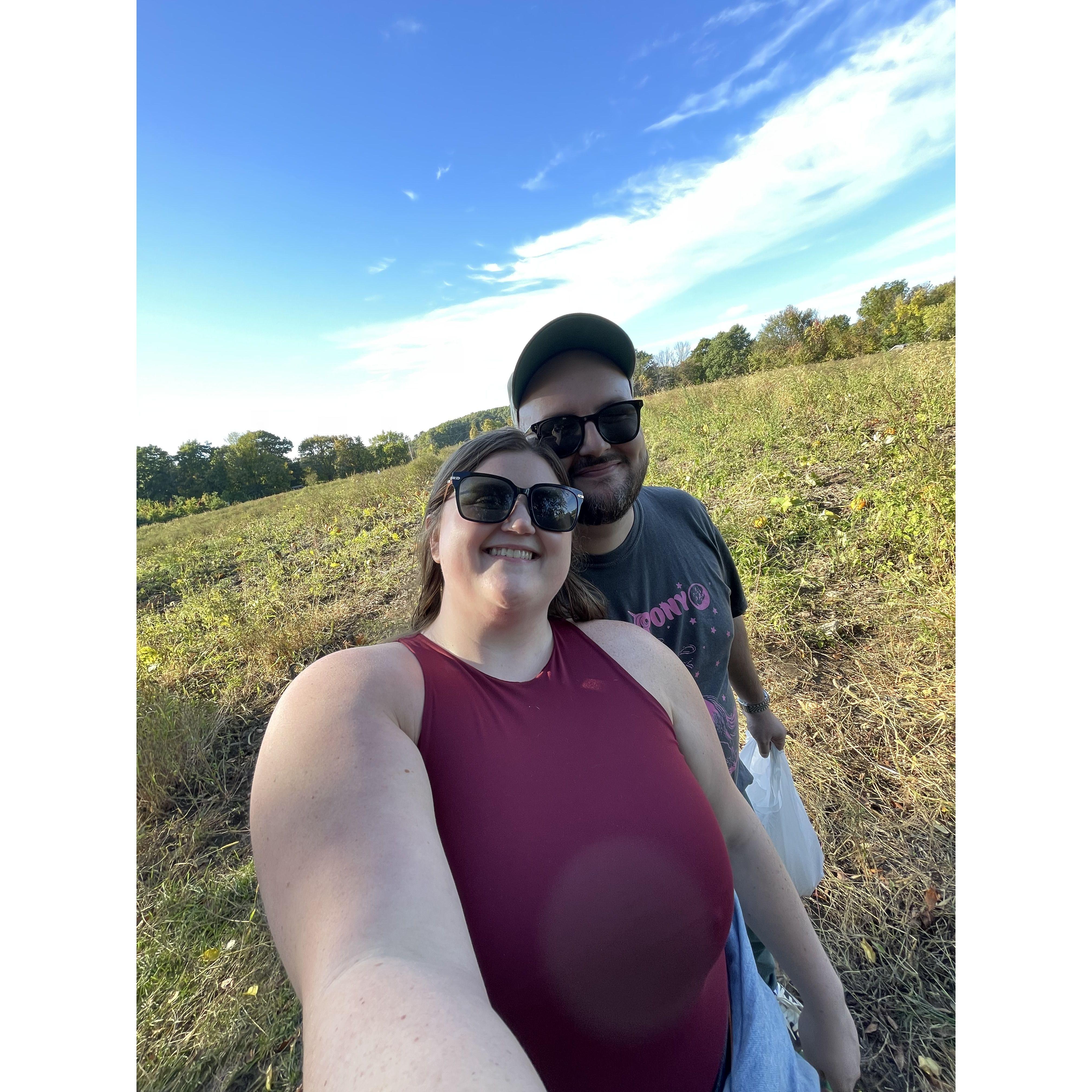 Pumpkin picking