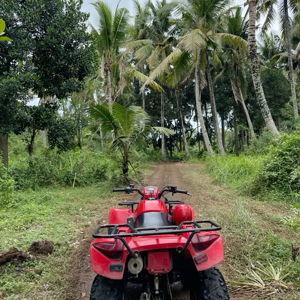 Ubud Bali ATV and Rafting on our Honeymoon