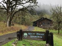 Mount Pisgah Arboretum