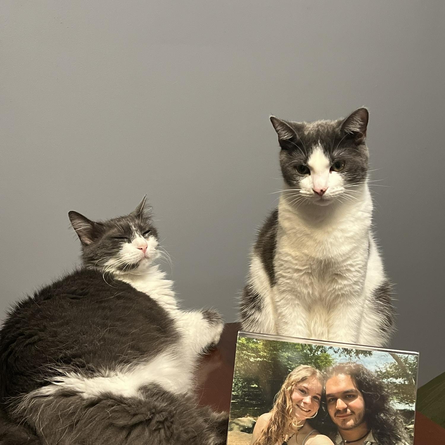 Our little family featuring our girls! Rune on the left, and Dune on the right!❤️