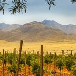 Sonoita (Wine Country) - 1h from Tubac