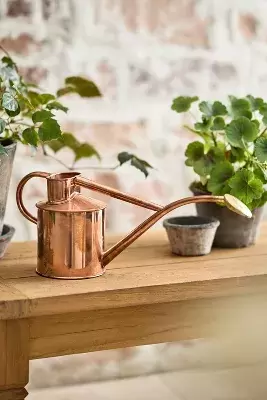 Haws 1 Liter Watering Can, Copper