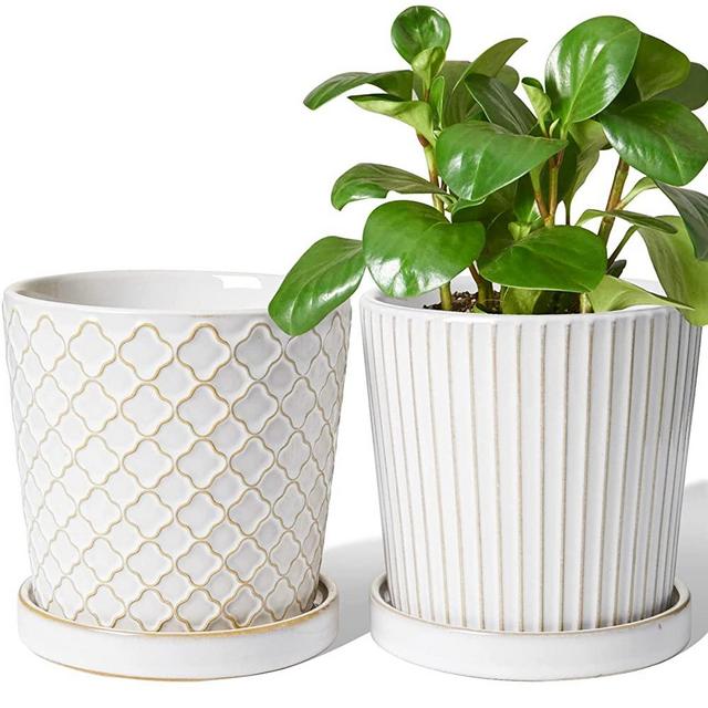 LE TAUCI Ceramic Plant Pots, 5.4 Inch Embossed Indoor Flower Pot with Drainage Hole and Saucer, Set of 2, Reactive Glaze White