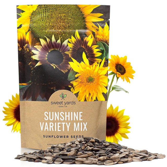 Bulk Sunflower Seeds - Variety Mix 10 Types of Beautiful Sunflowers - 1/4 Pound Bag Open Pollinated Sunflower Seeds for Planting