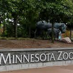 Minnesota Zoo