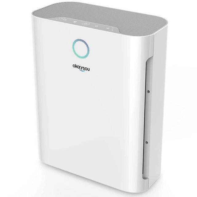 Okaysou Apollo 718 Air Purifier with High-Efficiency Filtration System, H13 True HEPA Filter, 3-in-1 Large Room Cleaner for Pets, Asthma, Smokers, Eliminate 99.9% Dust, Pollen, Smoke Odor, 800 Sq Ft