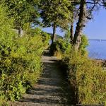 Bar Island Trail