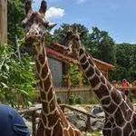 The Maryland Zoo in Baltimore