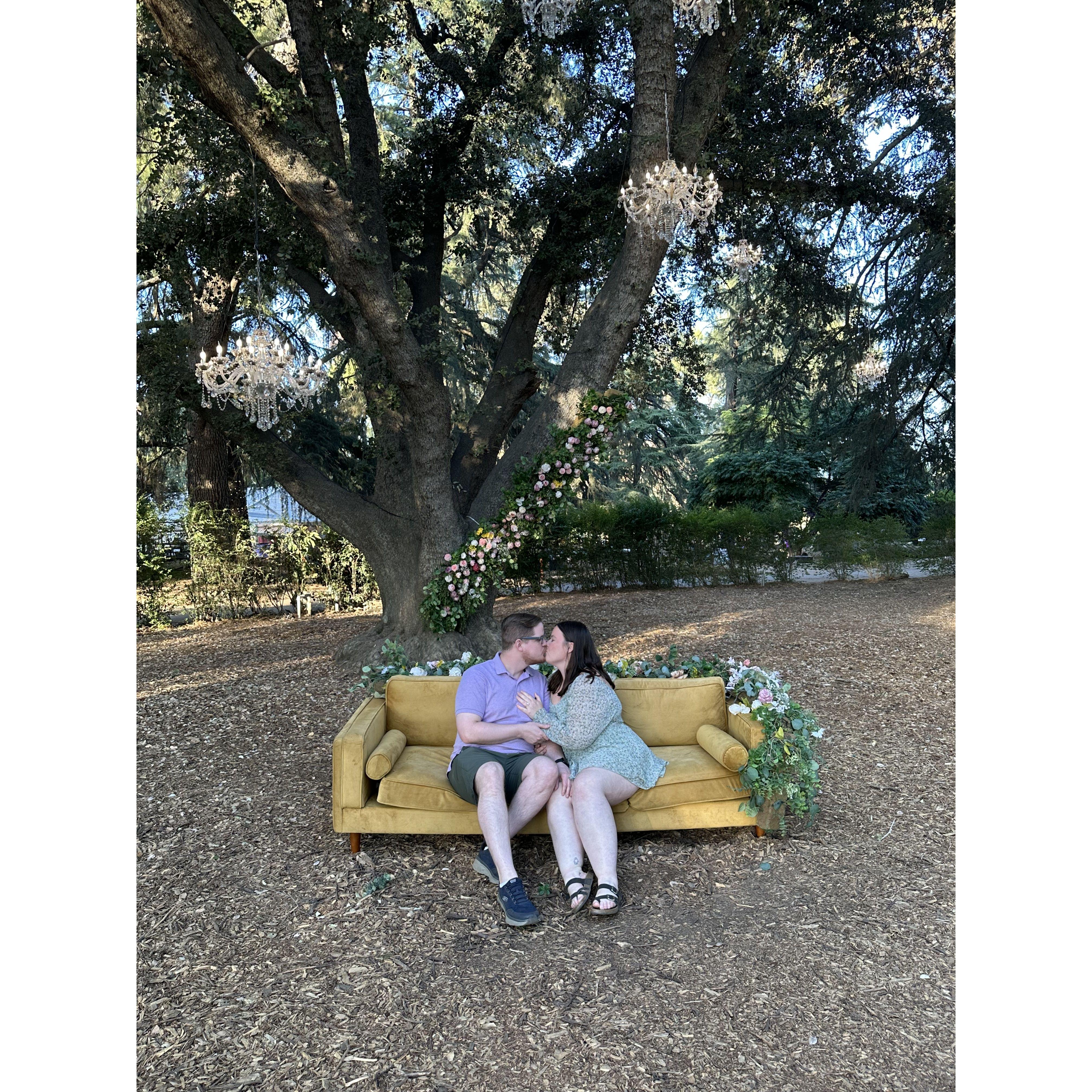 Our 3rd Trip to the Lavender Festival