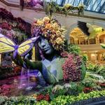 Bellagio Hotel & Casino