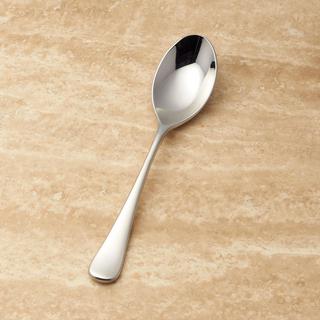 Caesna Mirror Dinner Spoon