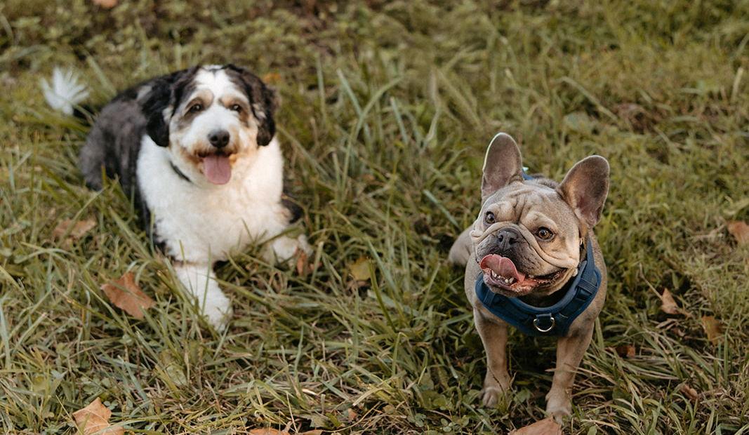 Hero Slideshow Image 4