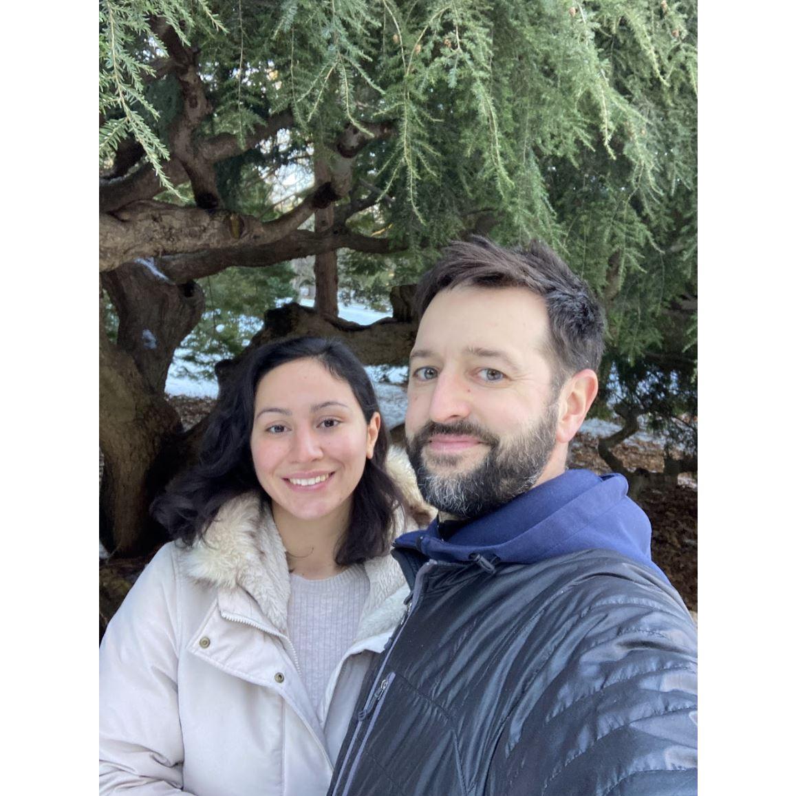 The Arnold arboretum in Boston, one of our favorite places to visit in the winter and learn about plants and try to fish out cedar trees!