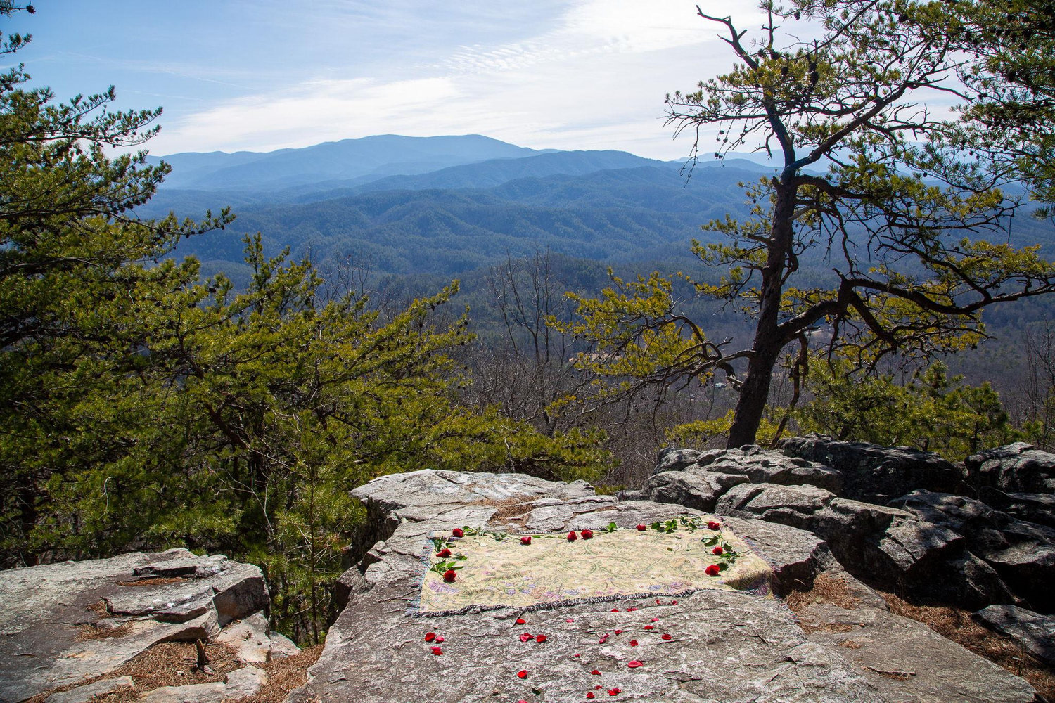 The Wedding Website of Taylor Marsh and Andrew Franks
