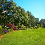 Queens Botanical Garden