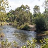 Riverside King Valley