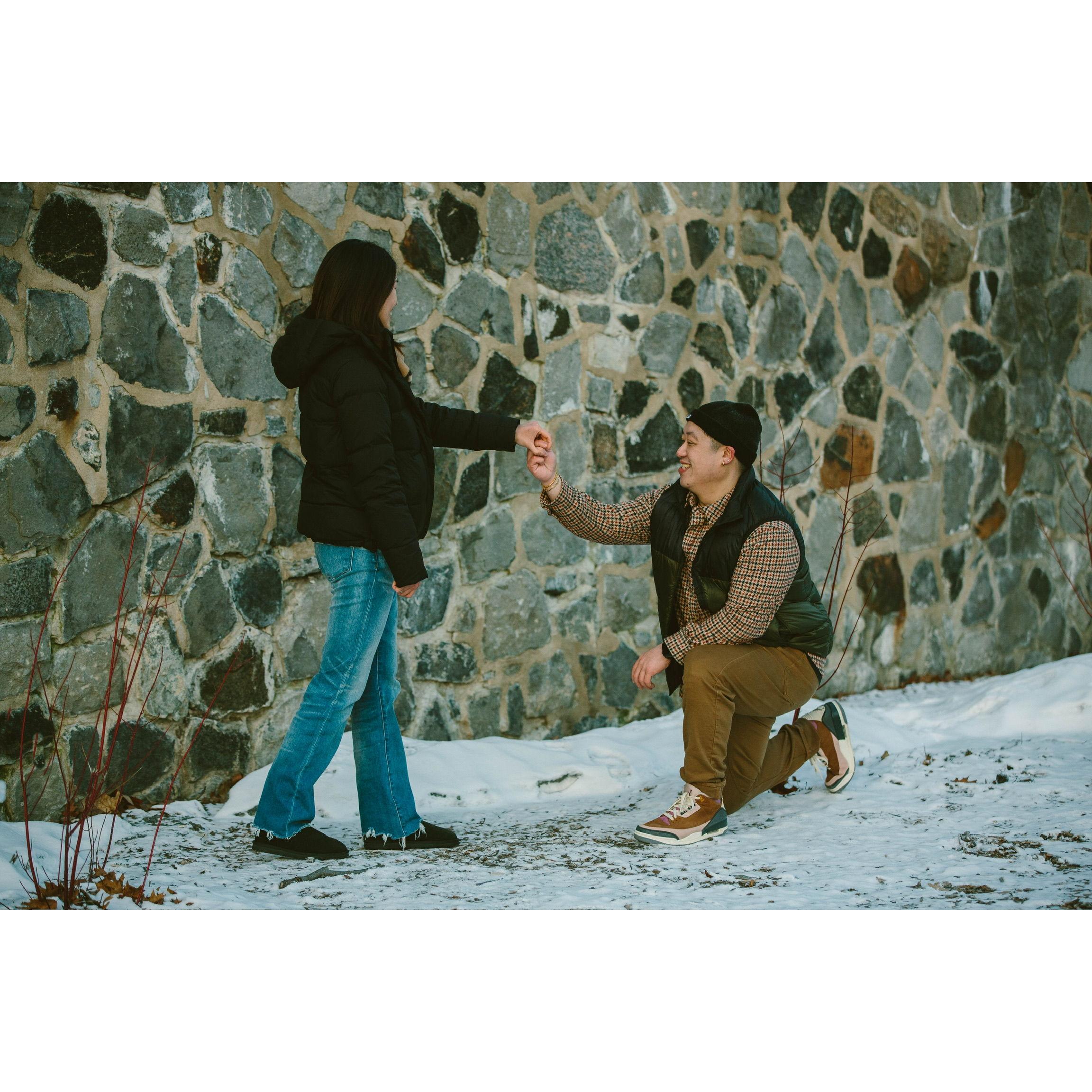 Engagement Picture