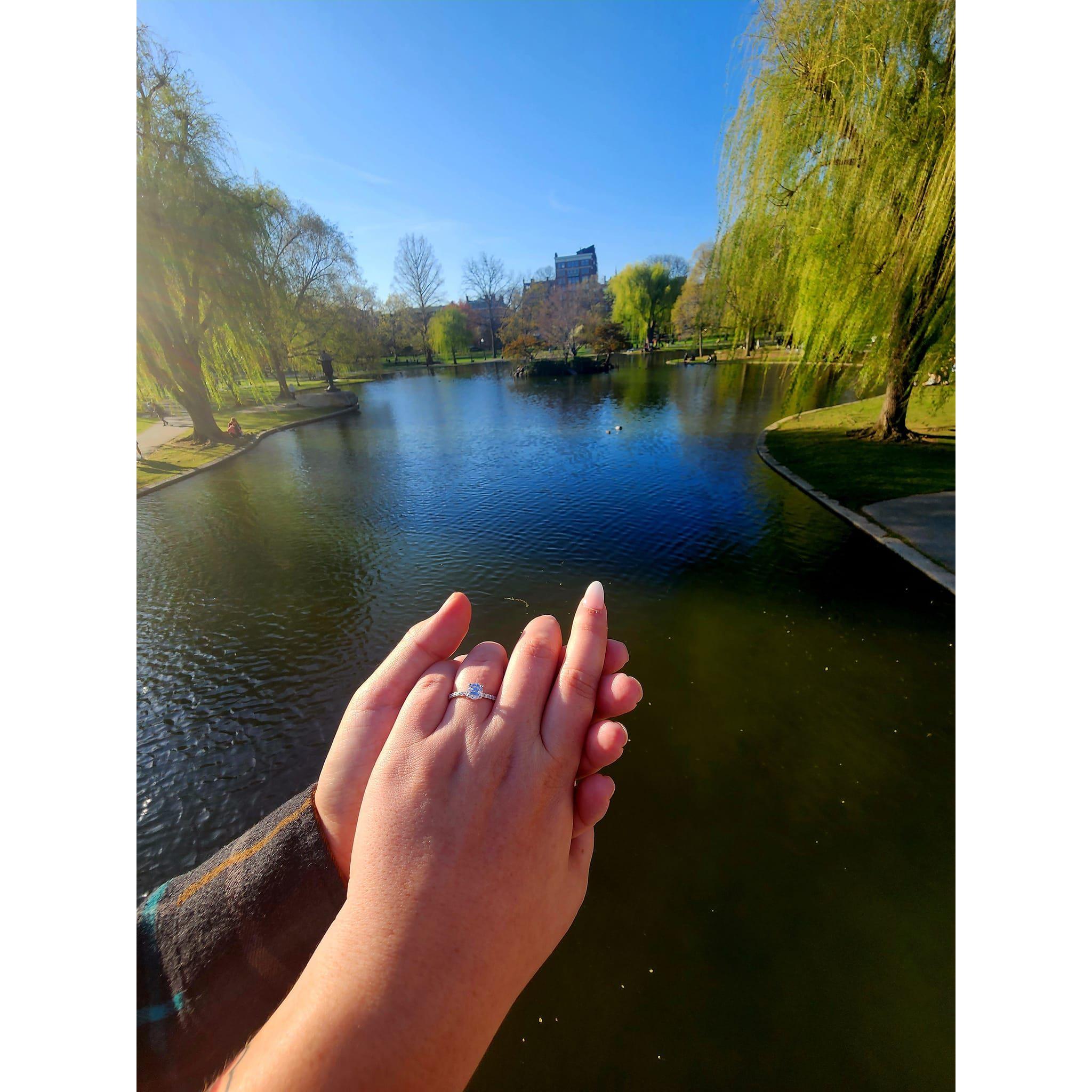 The day we got engaged