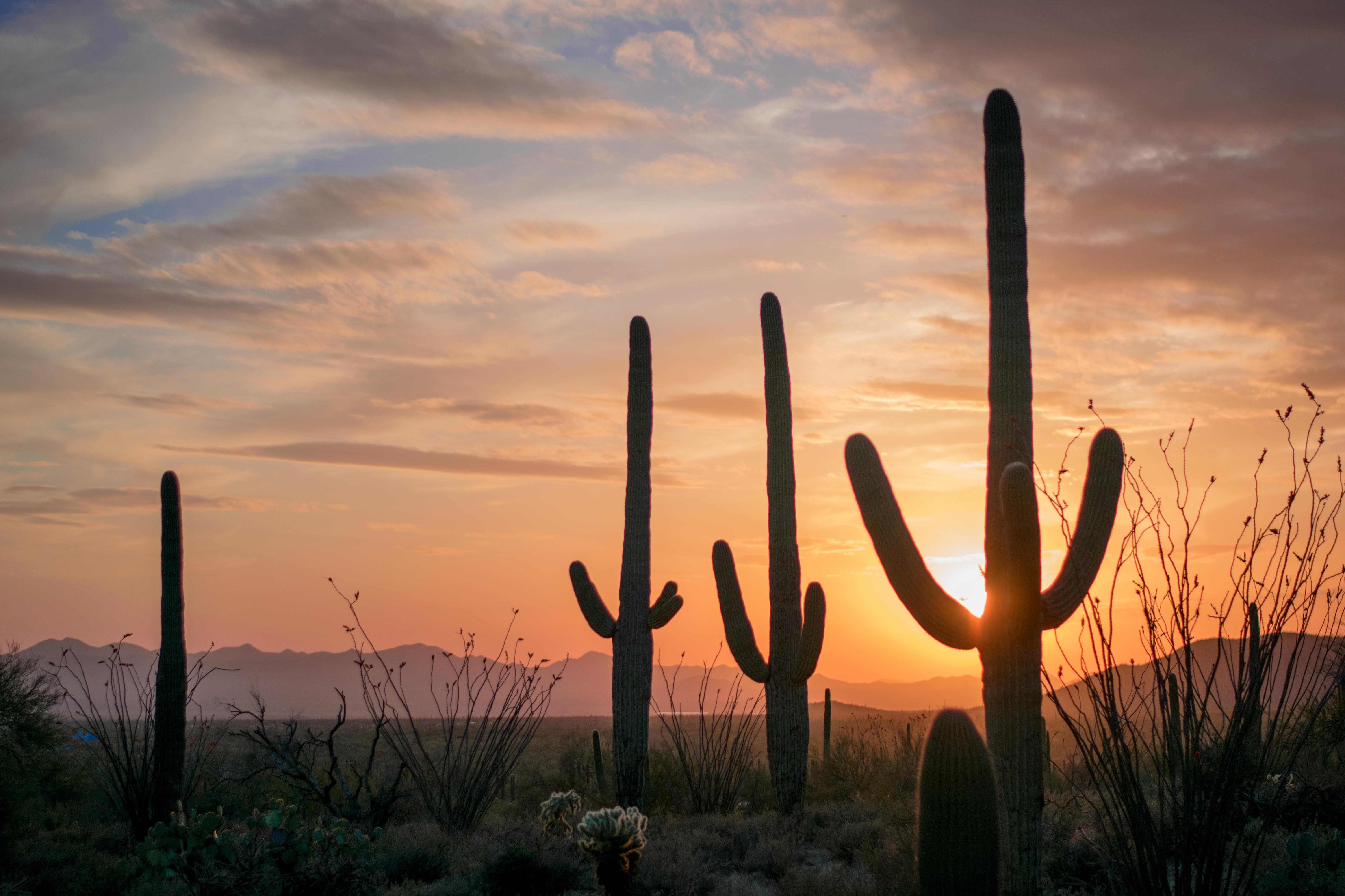 The Wedding Website of Miguel Marquez and Catherine Allen