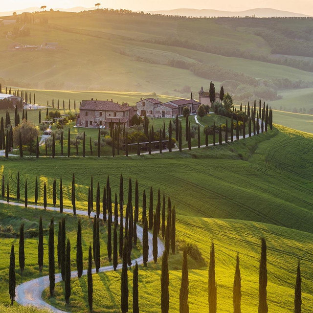 Wine tour & tasting in Tuscany vineyards