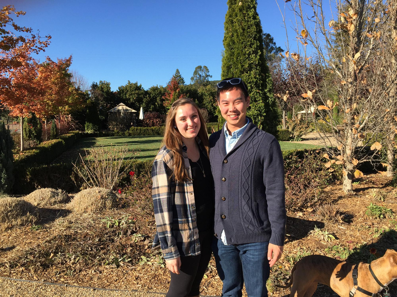 A winery in Napa, CA in 2015