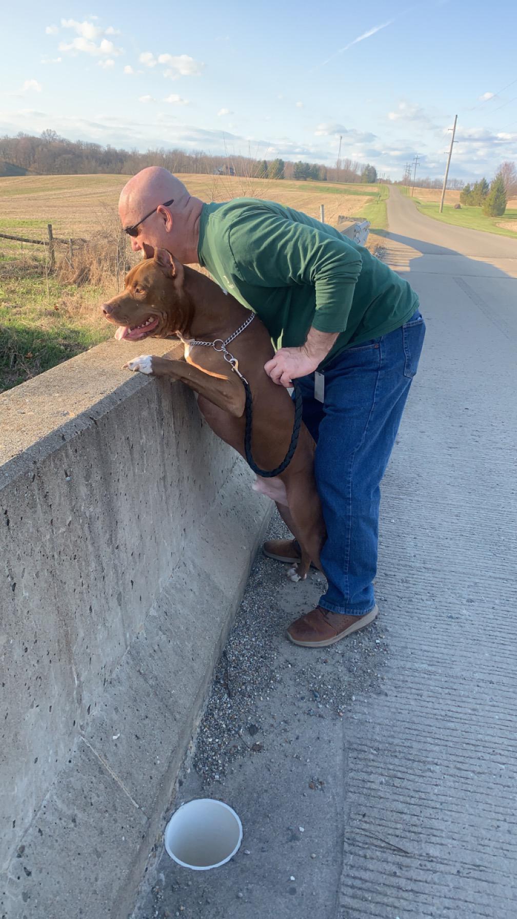 Checkin out the water