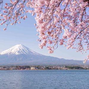Trip to Japan