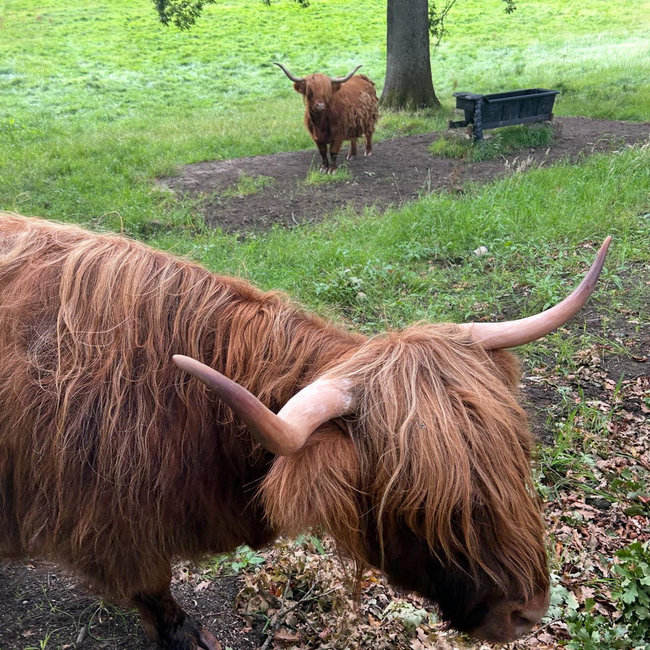 We have the best time in Scotland