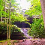 Ferne Clyffe State Park