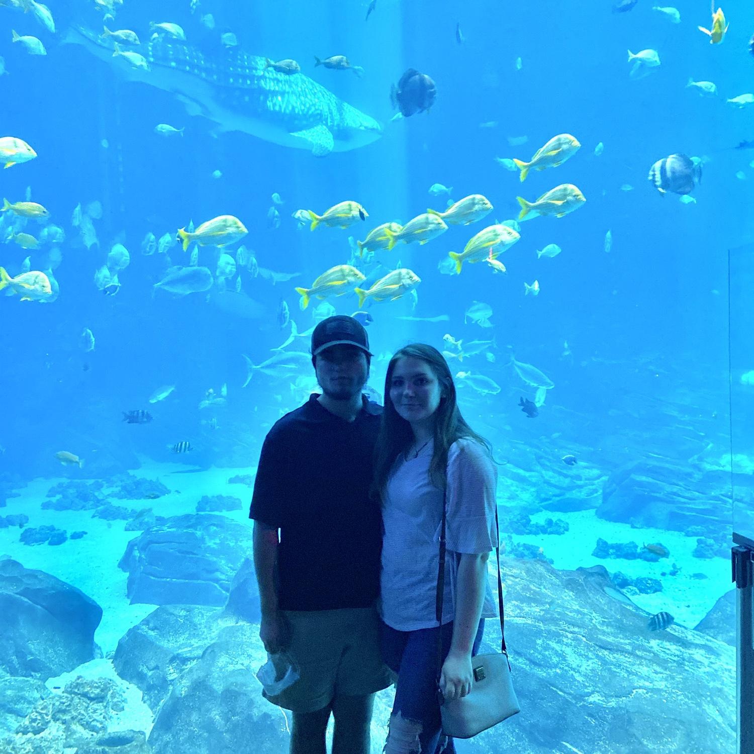 At the Georgia Aquarium 2020