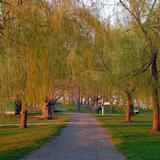 Salem Willows Park