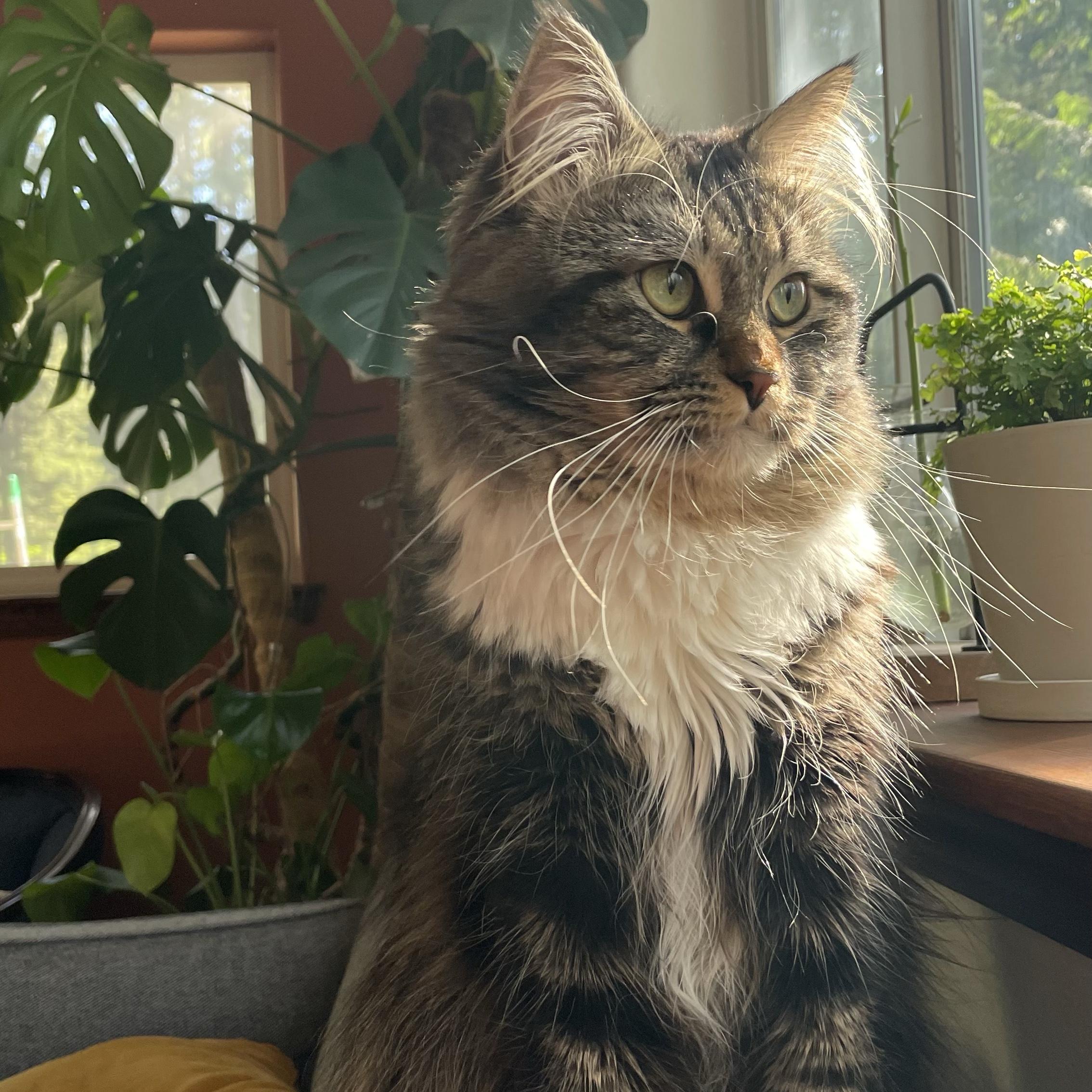 Our Home Renovation Fund