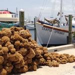 Tarpon Springs Sponge Docks