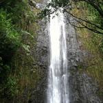 Manoa Falls
