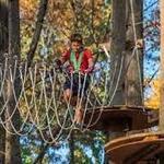 Tree Trekkers Outdoor Aerial Adventure