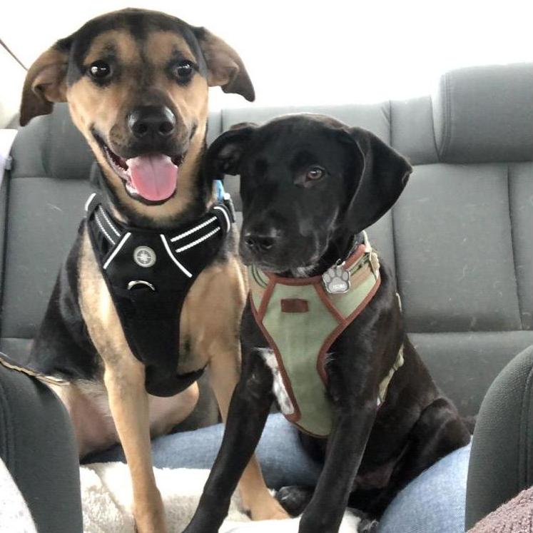 Cooper and Diesel