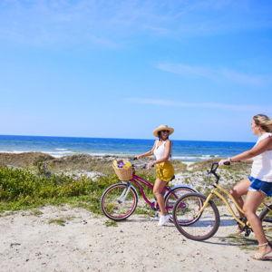 Bike Rentals
