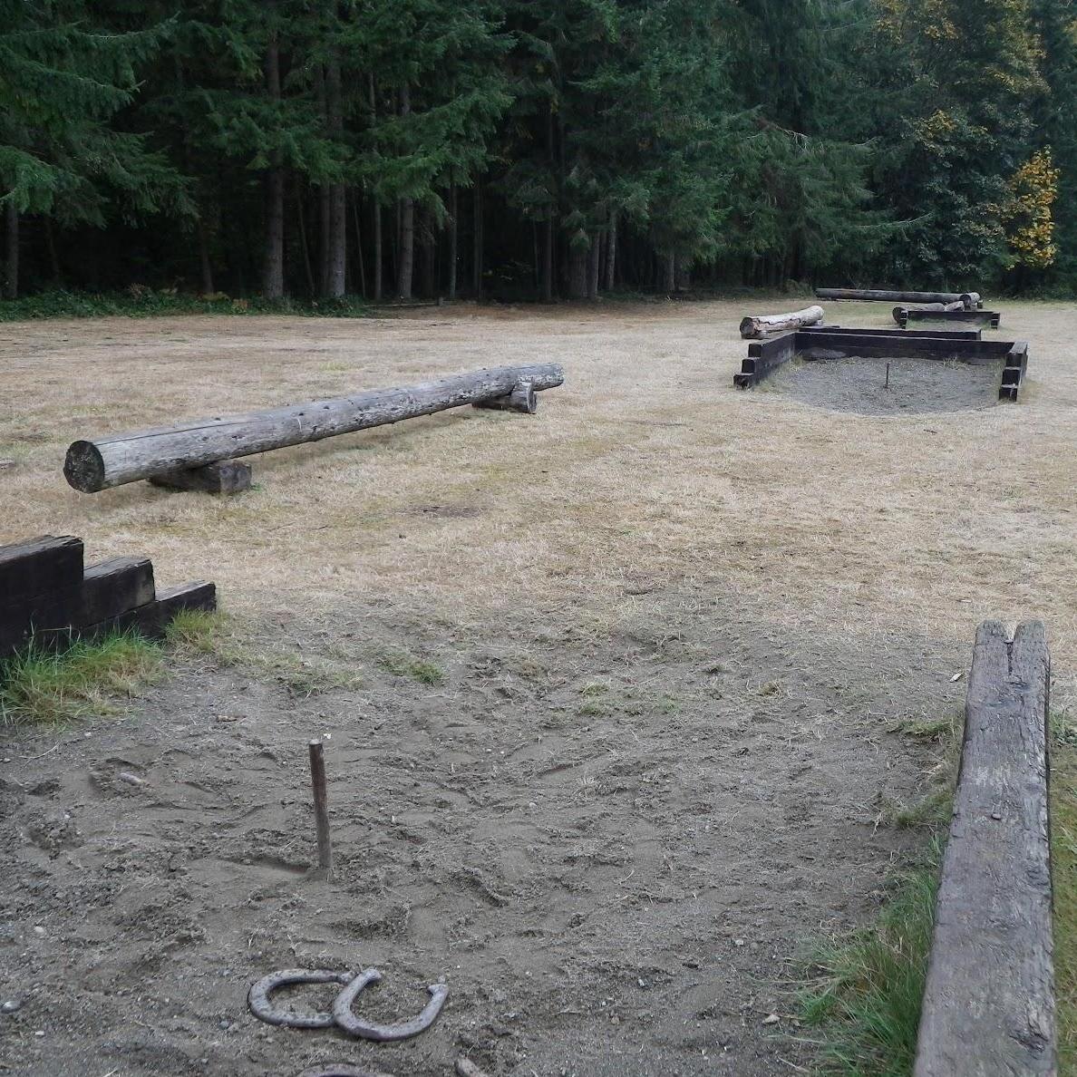 Horseshoes!