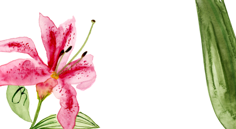 Footer image