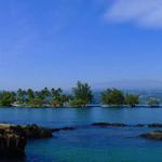 Coconut Island
