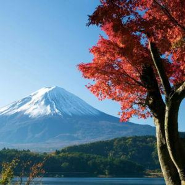 Honeymoon in Japan