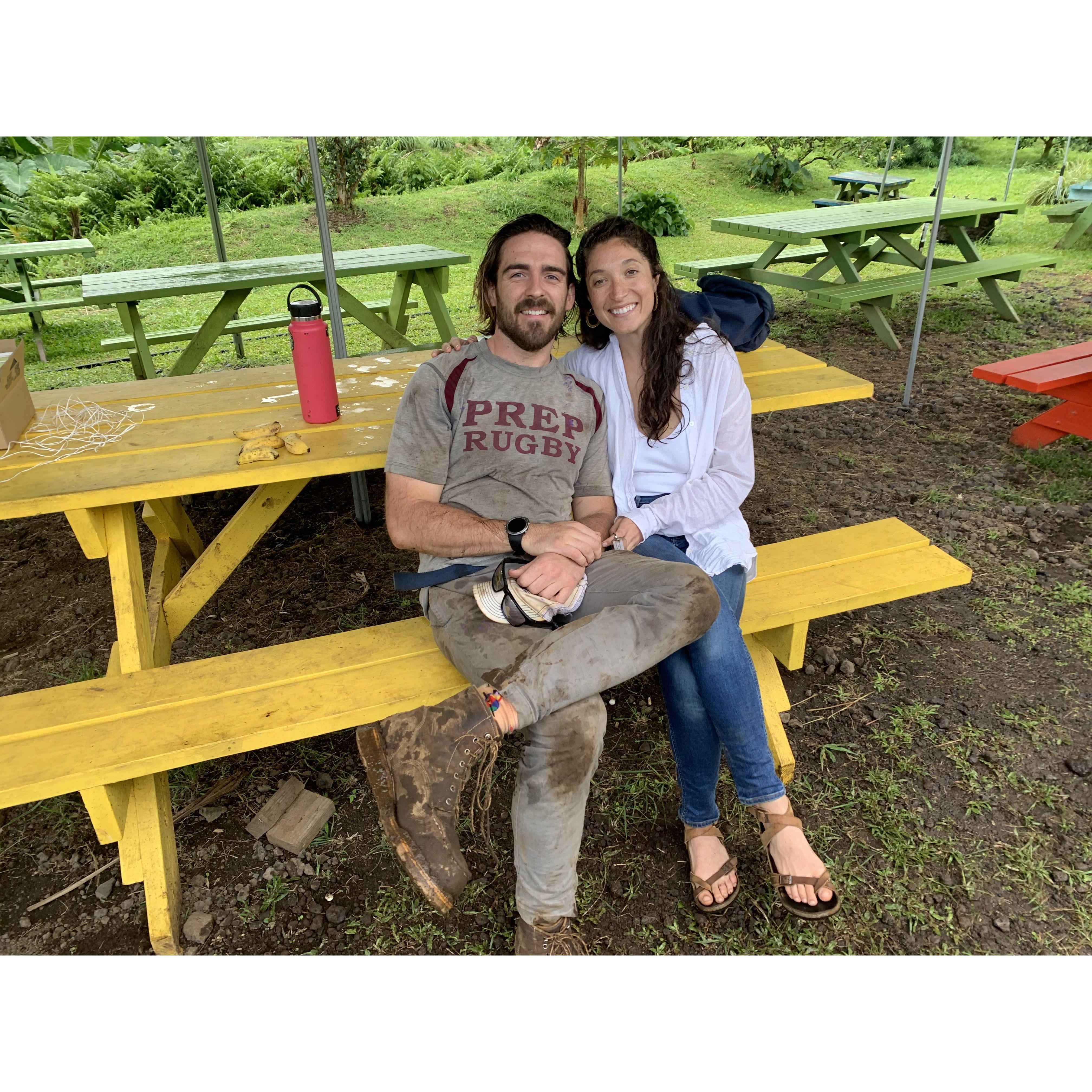 Working on the bamboo farm in Maui