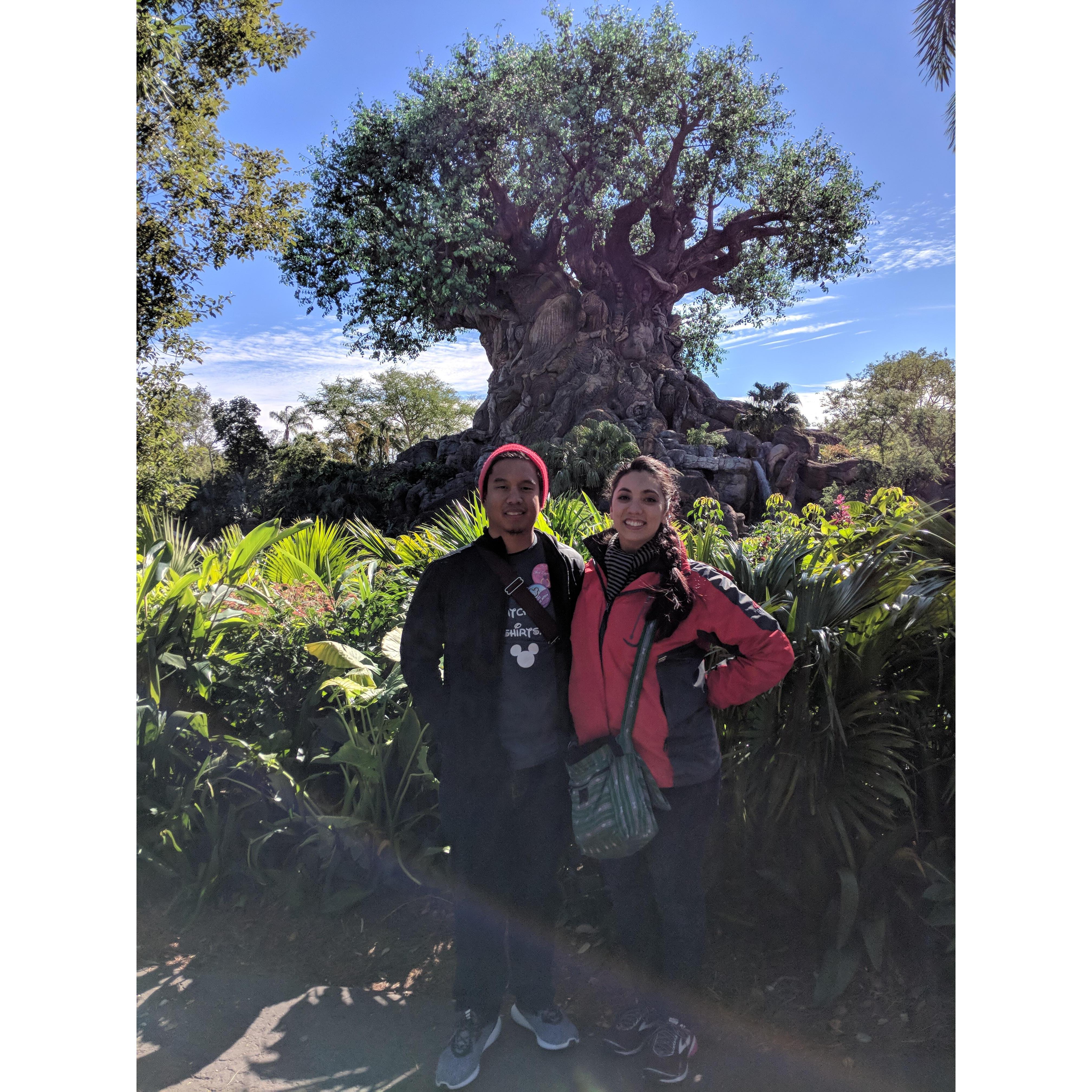 Our first visit to Disney's Animal Kingdom.
