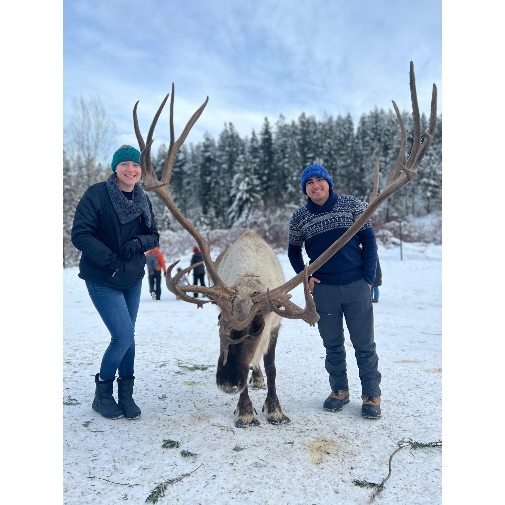 Brooke did not know reindeers were real before this